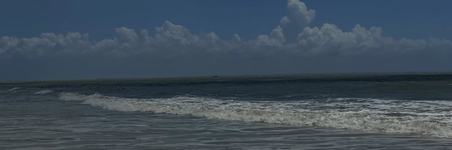 ninagrowup's profile banner image