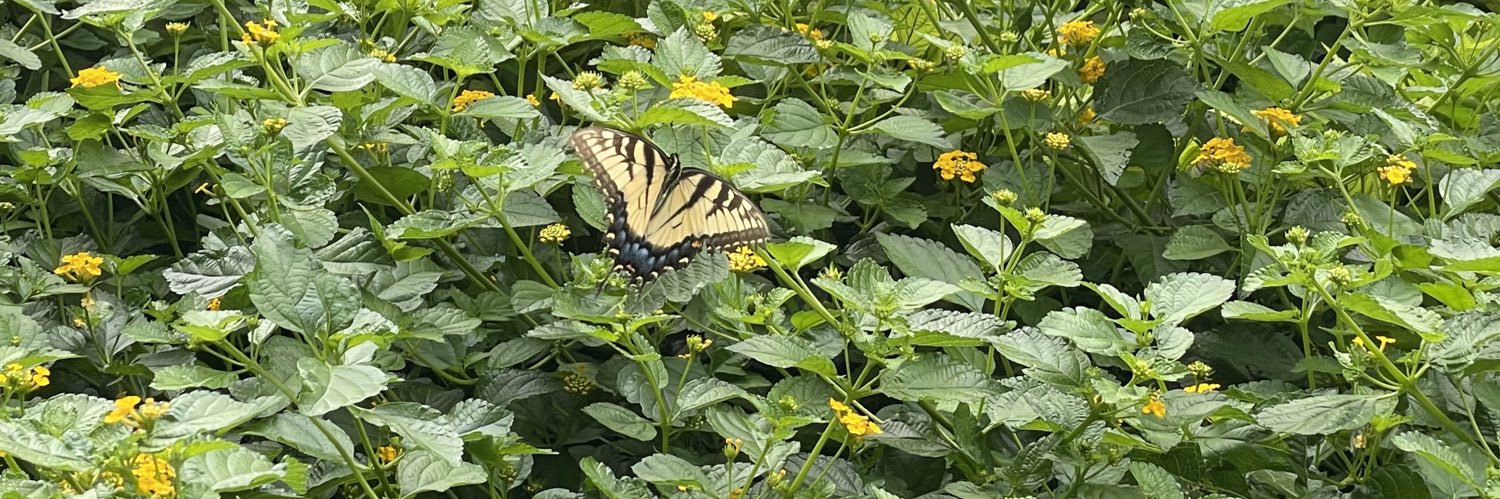 BryCurtin🤘🏾 banner