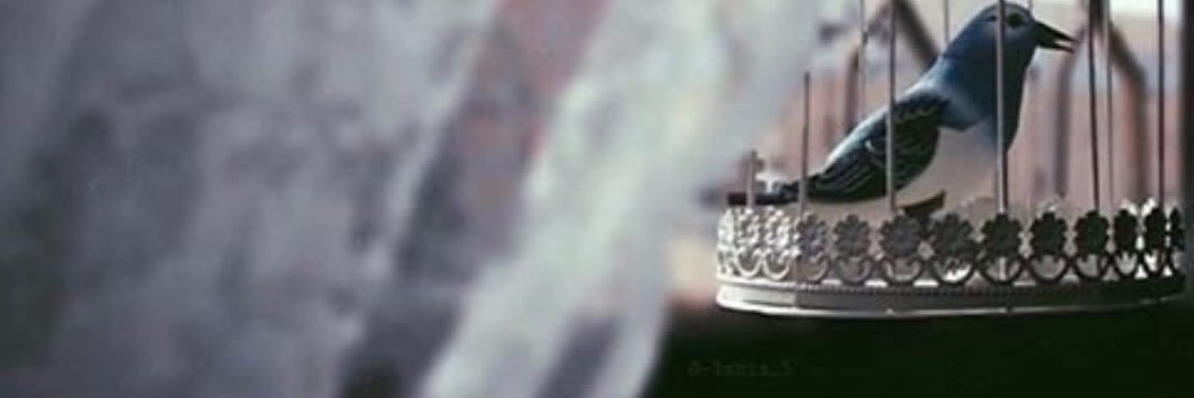 noal_q0's profile banner image