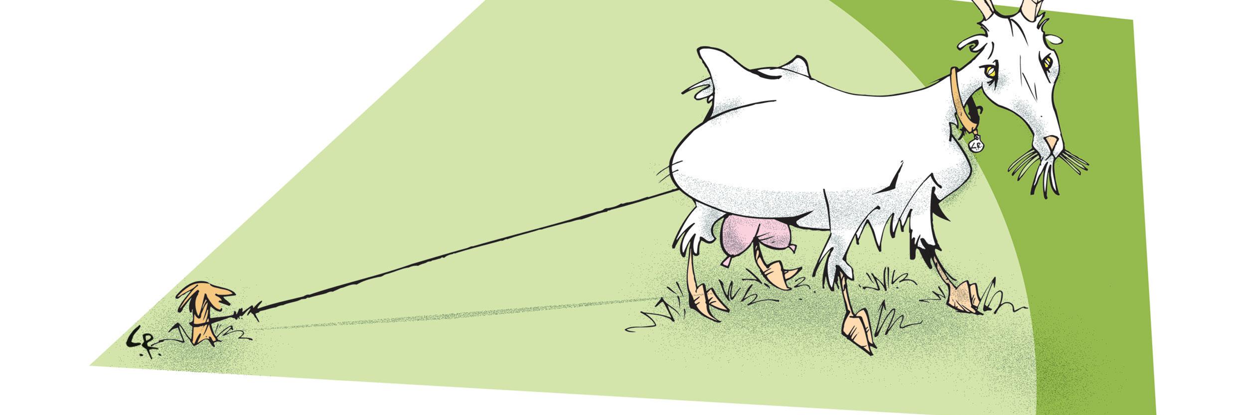 Elrefn's profile banner image