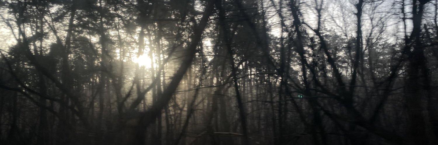 _Edhel__'s profile banner image