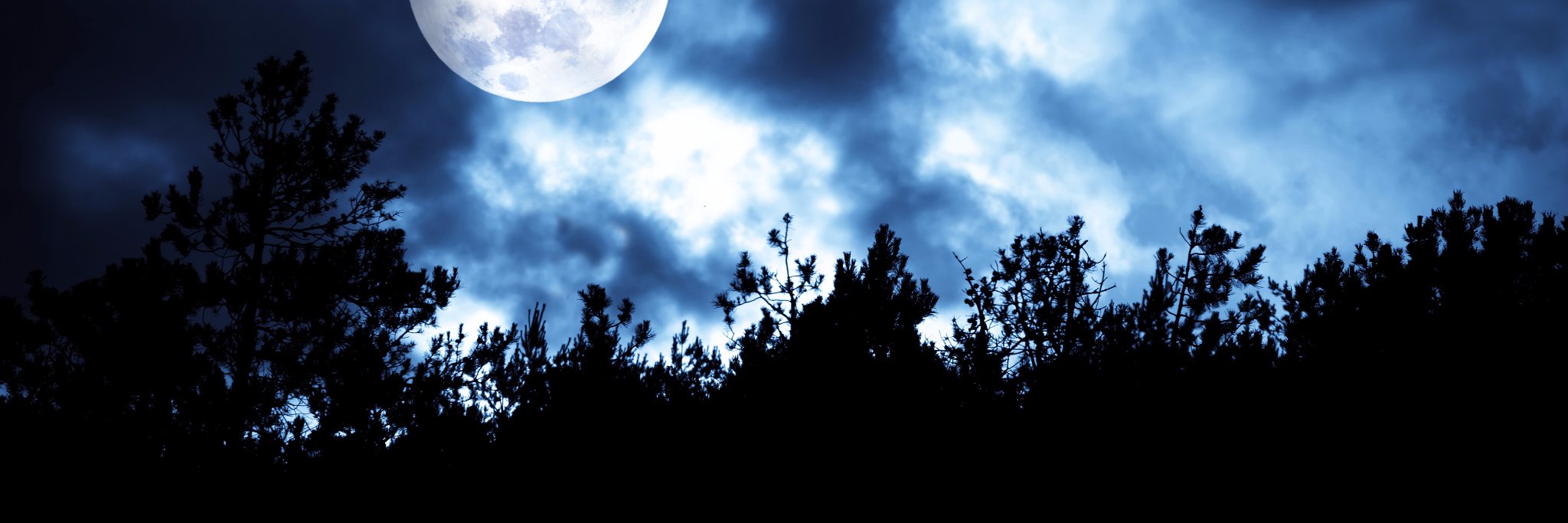 millymilly111's profile banner image