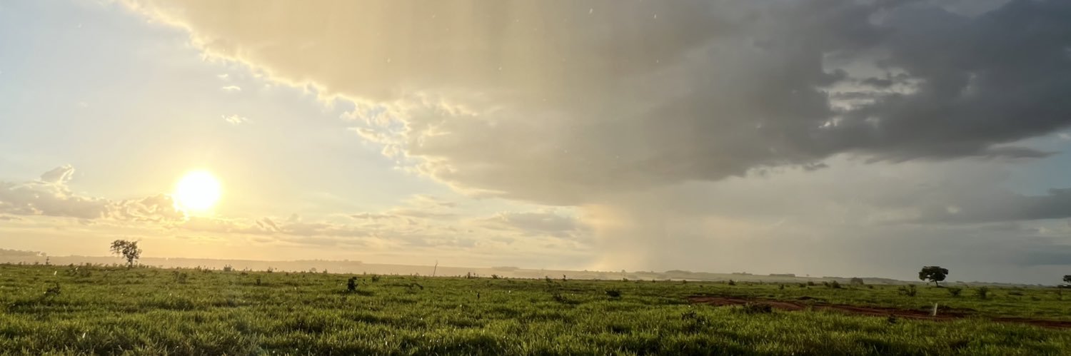 Bruno Gervasio banner