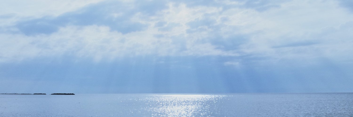 okikoebi's profile banner image