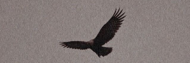 niiimad's profile banner image