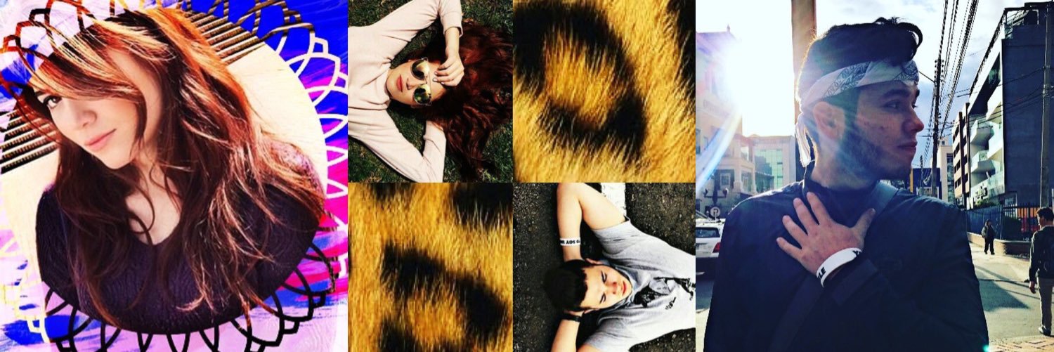predadoresofc00's profile banner image