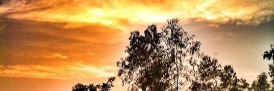 robinnakai banner
