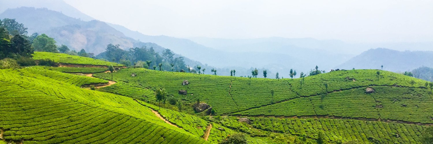CAG_aurav's profile banner image