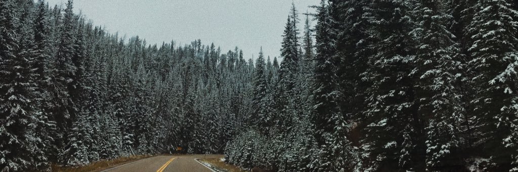 macicotee's profile banner image