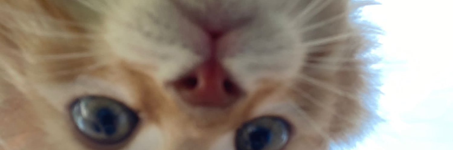 altayusta1's profile banner image