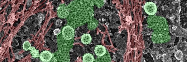 BoulantLab Profile Banner