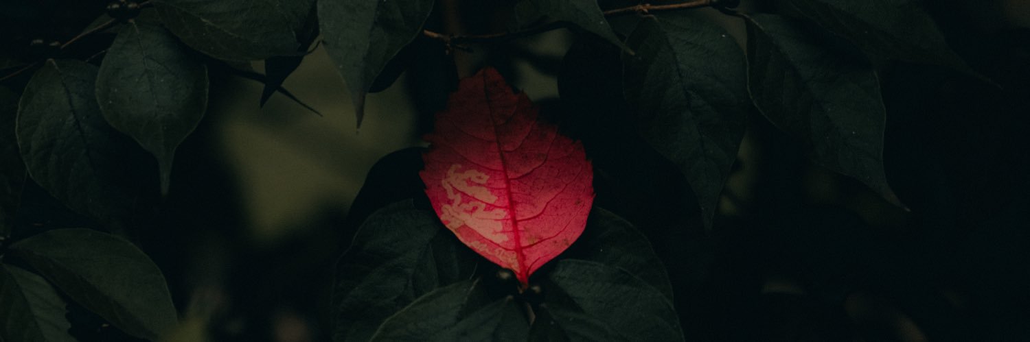 GetTricked201's profile banner image