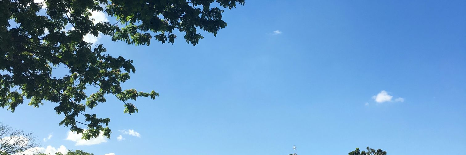 yuldaily's profile banner image