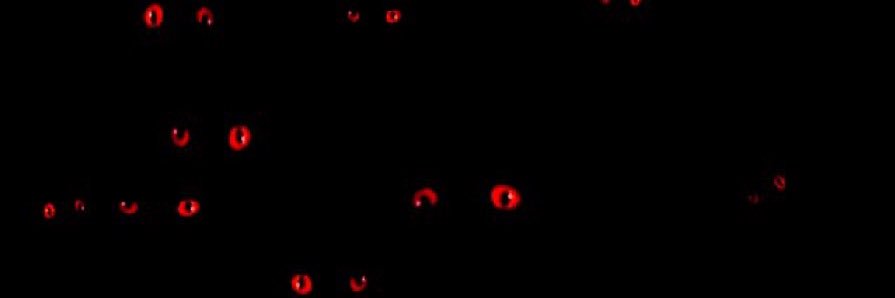 iimurrayyy's profile banner image