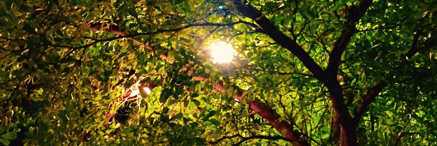 aonfedfe79's profile banner image