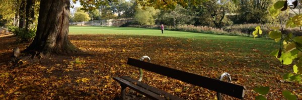 dgilmour Profile Banner