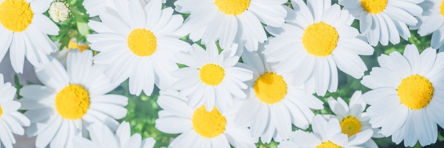 gleamingud's profile banner image