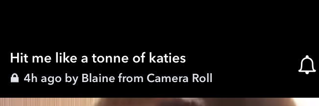 Kirstie McLean banner