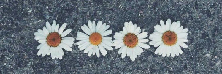 isabelmariamr's profile banner image