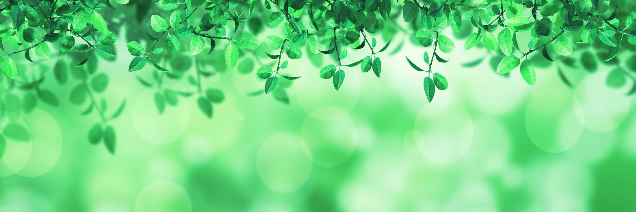 Biolieve banner
