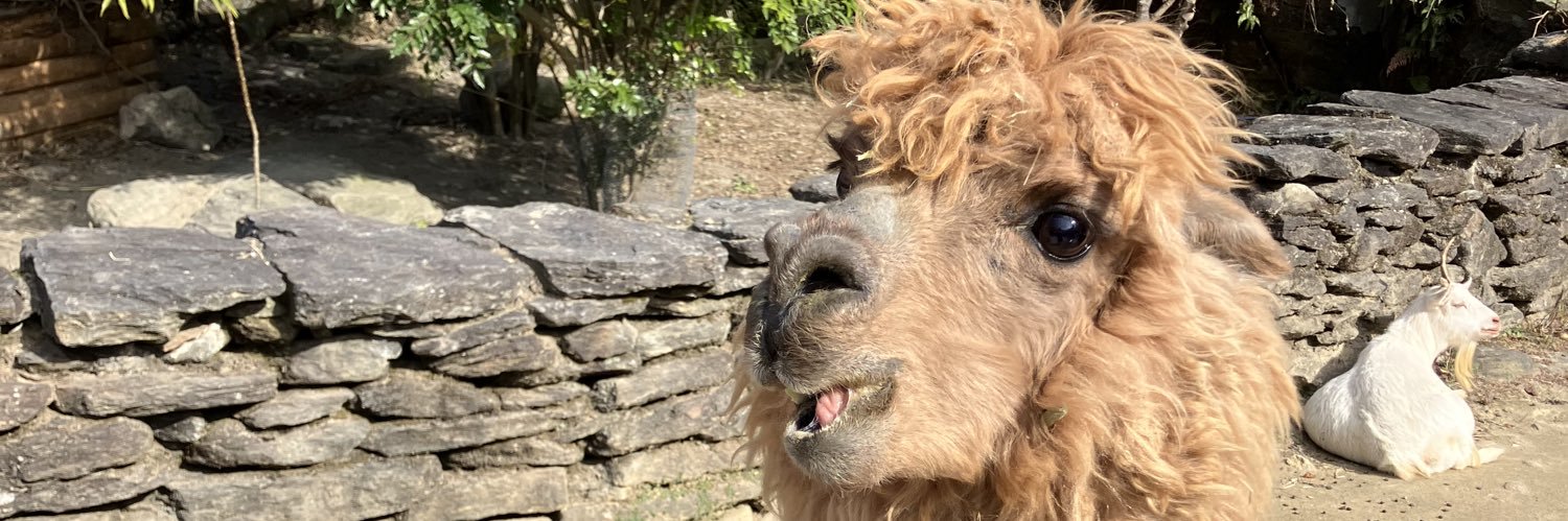 あすかやま꧁⍤⃝꧂ banner