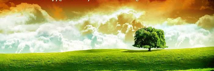 Selvi_aj's profile banner image