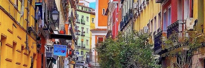 LEOAMOROSO's profile banner image