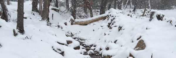 anywherebuttn Profile Banner