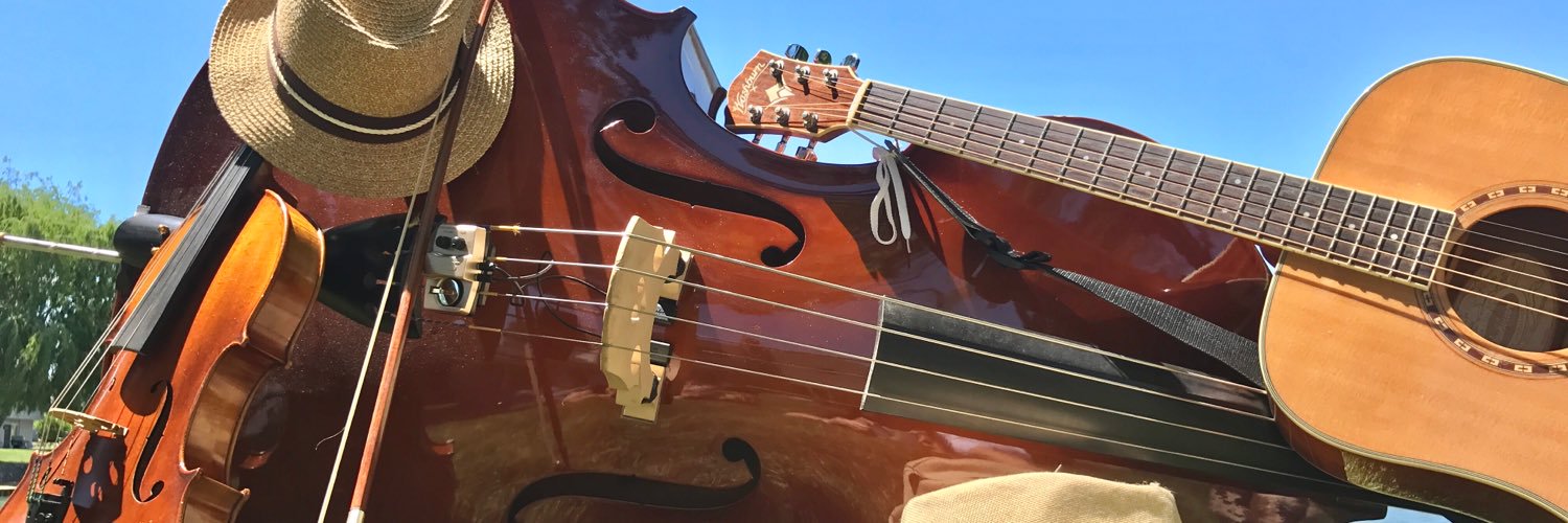 stringbeanband's profile banner image