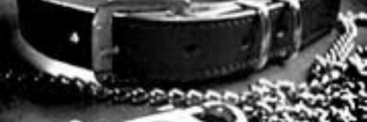 ___st_q2's profile banner image