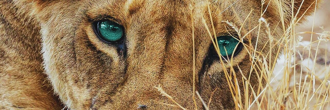 Aminkassem5's profile banner image