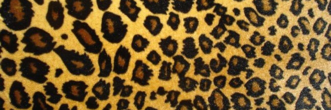 FirmanxNH's profile banner image