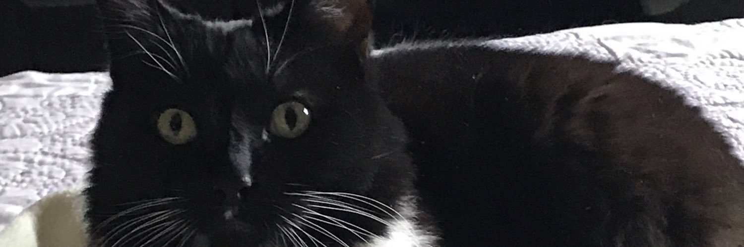 kmcsweeneyRPE's profile banner image