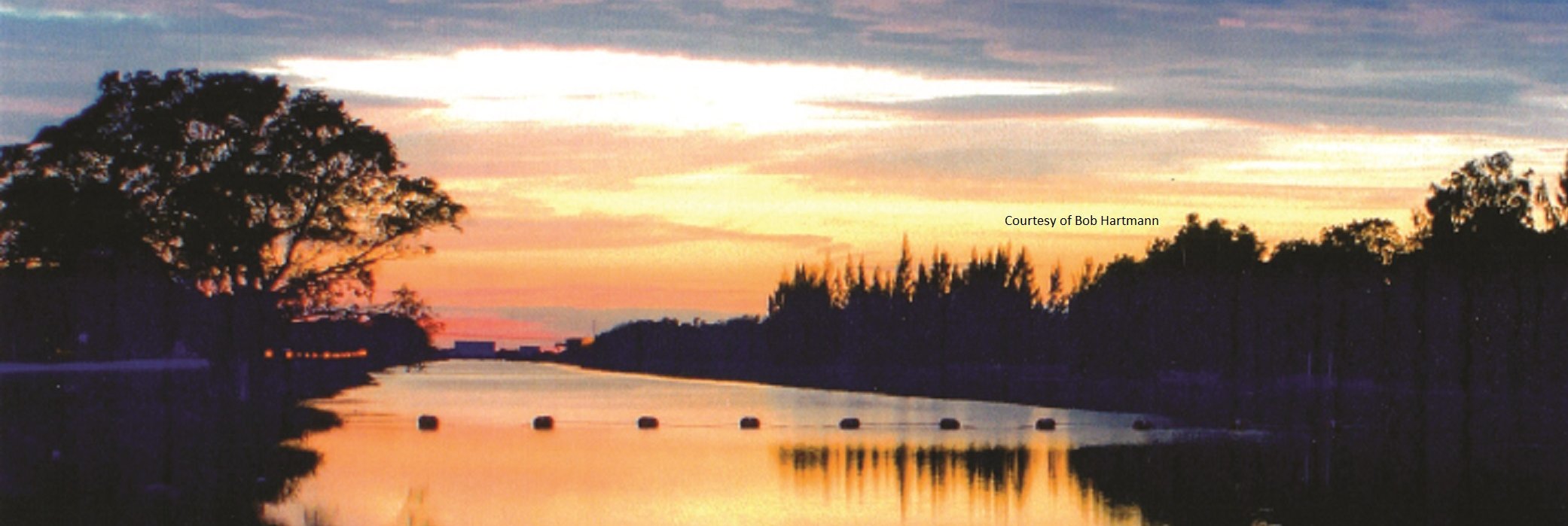 Southwest Ranches banner