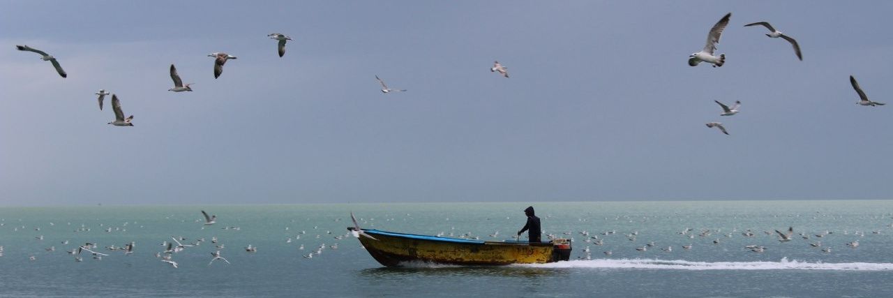 آلاسوسو banner