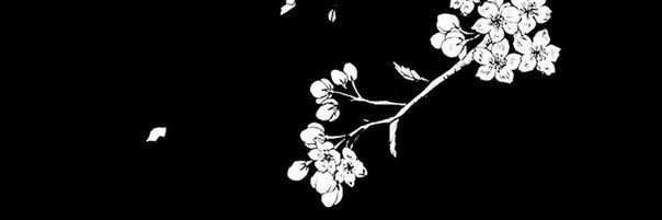 gysunflower's profile banner image