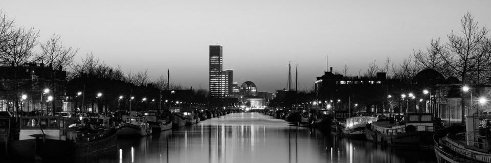 Remon Hollander banner