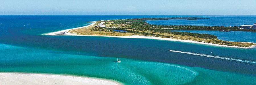 Pinellas County banner