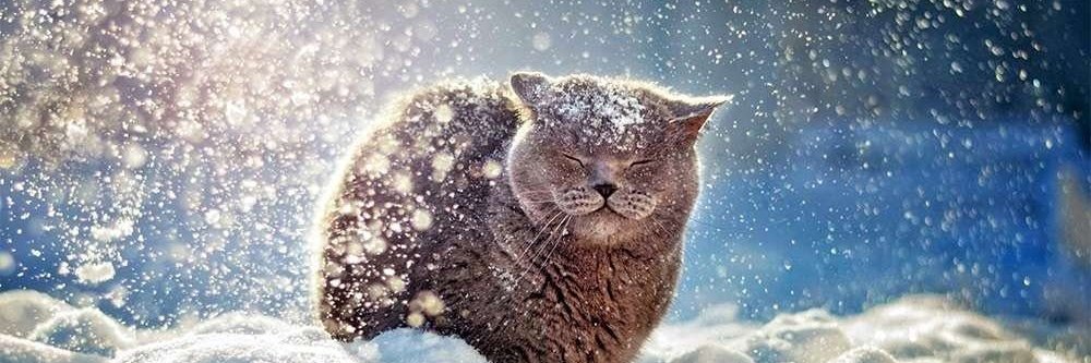 Uma_Chka's profile banner image