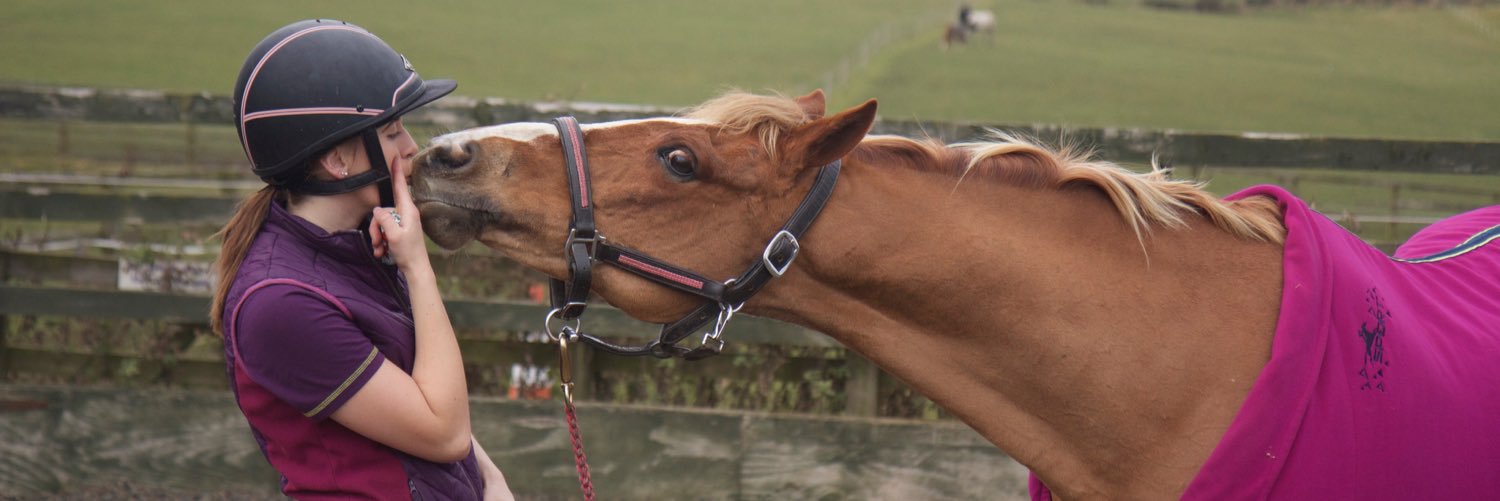 Faye__Robinson's profile banner image