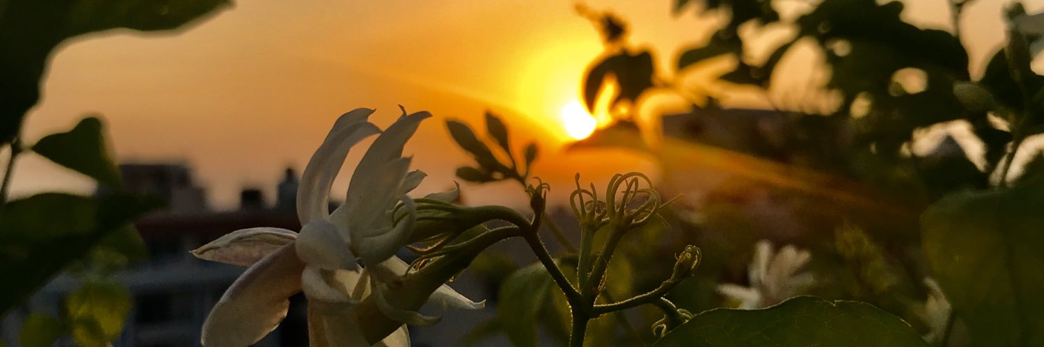 farhanhoda's profile banner image