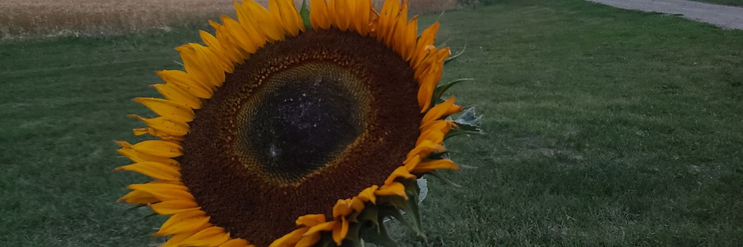 blendz55's profile banner image