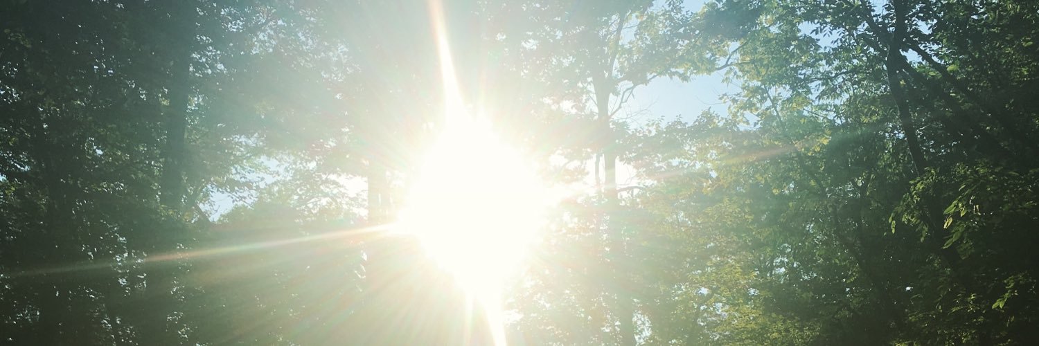 Michelle Johnson banner