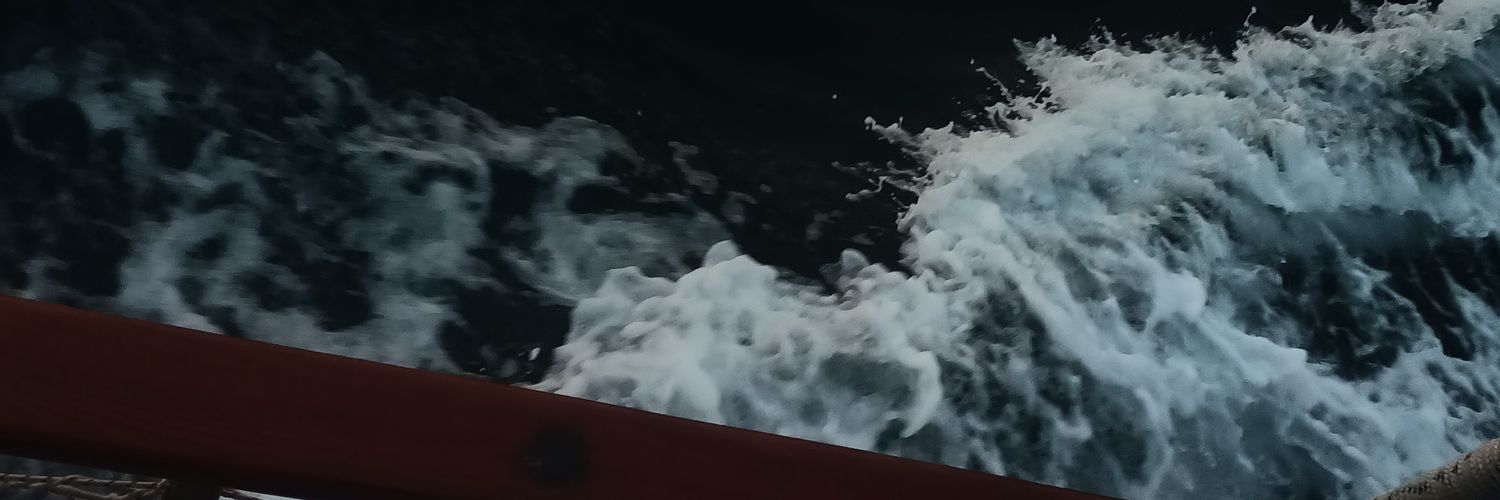 ecansu_'s profile banner image