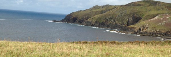 samgale Profile Banner