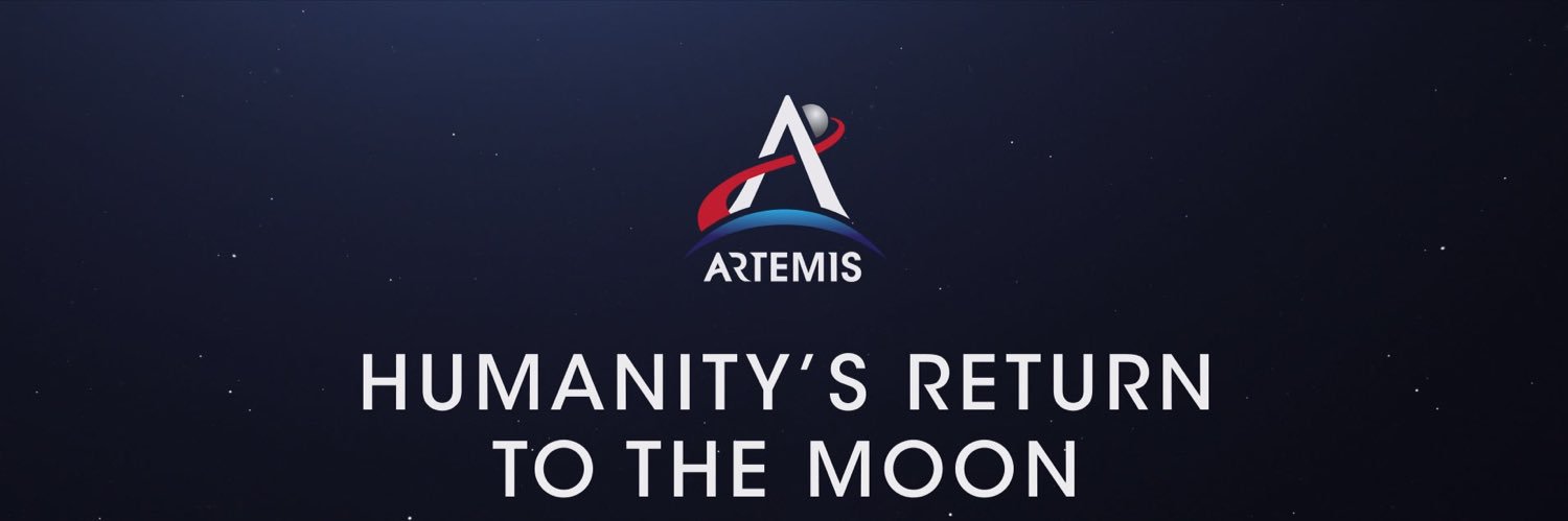 Verrückter Vogel banner