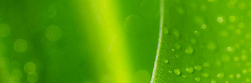 🙃 السعادة قرار 🇸🇦🇸🇦 banner