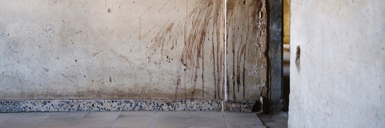 14Lawyers.org banner