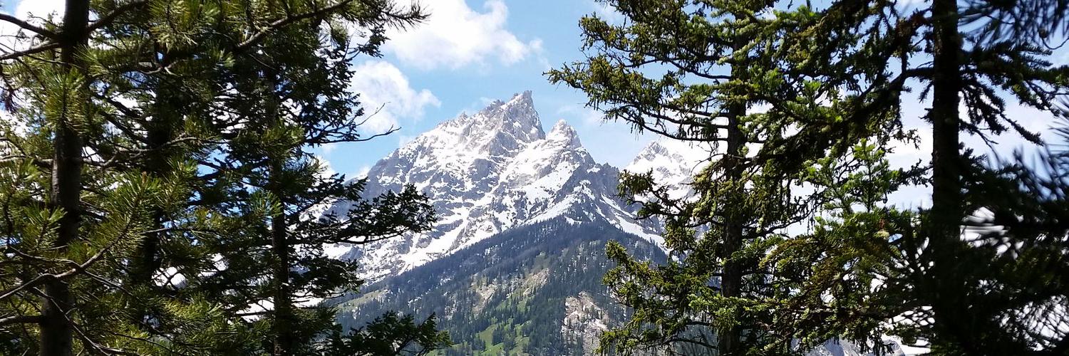 Fluffs | Amber banner