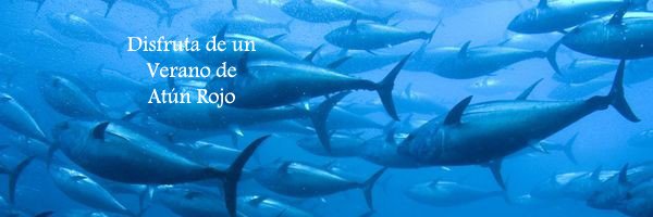 Rest_BarJamon's profile banner image